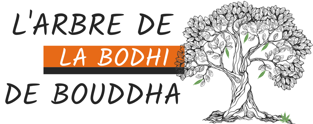 Arbre de la Bodhi