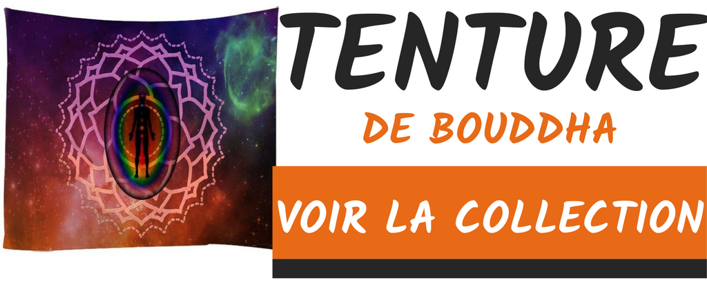 Arbre de Bouddha ( Arbre de la Bodhi )